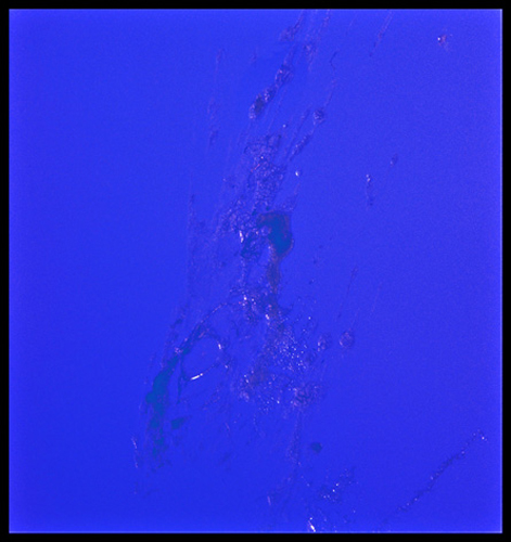 sudden_death_13